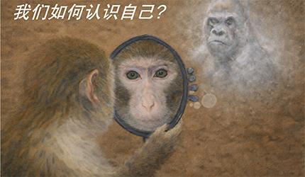 王立平組揭示工作記憶的元認(rèn)知判斷由獼猴前額葉皮層整合多重成分形成